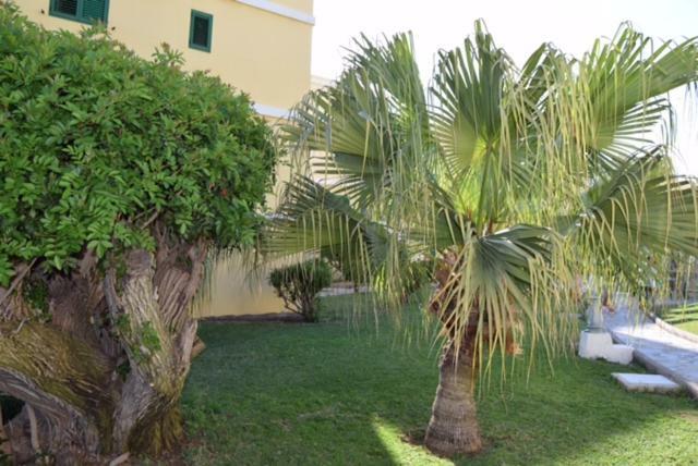 Tara Apartment Πλάγια ντελ Ινγκλές Εξωτερικό φωτογραφία